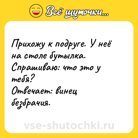 Шутка: Прихожу к подруге. У неё на столе бутылка.<br>Спрашиваю: что это у тебя?<br>Отвечает: винец безбрачия.
