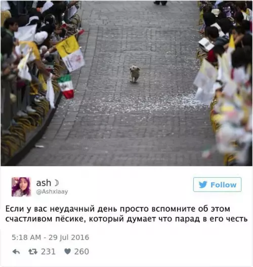 Смешная картинка №223636
