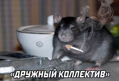 продолжение Смешная картинка №605730 работа