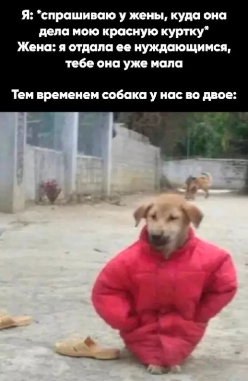 Смешная картинка №690153