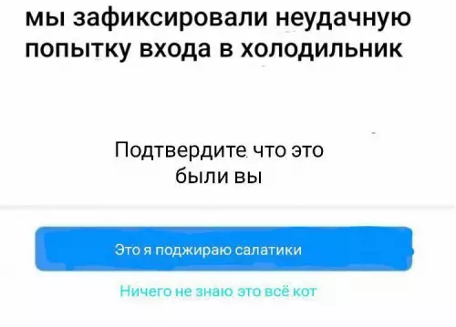 Неудачная попытка входа в холодильник