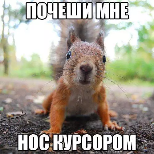 Смешная картинка №190925