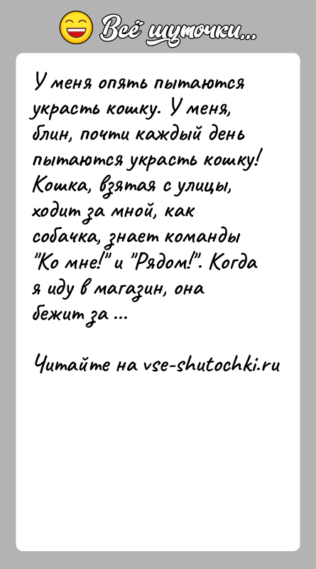 История: У меня опять пытаются украсть кошку. У меня, блин, почти каждый день пытаются украсть кошку!Кошка, взятая с улицы, ходит за