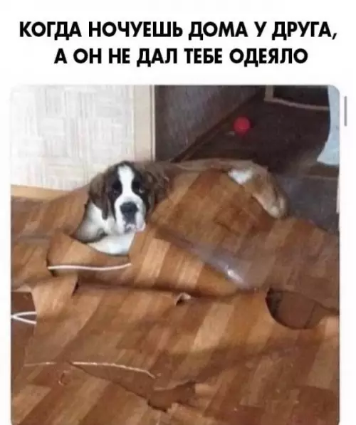 Смешная картинка №653803