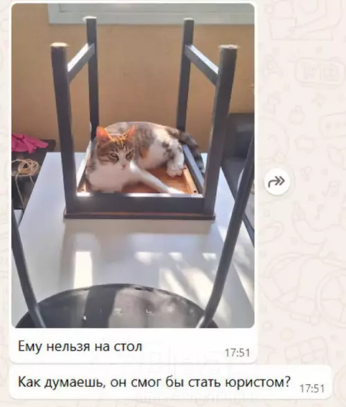 Смешная картинка №775078