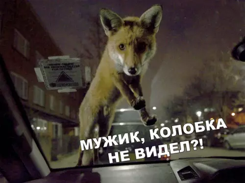 Смешная картинка №485109 Не
