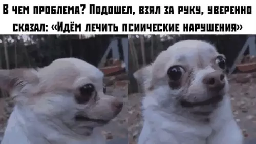Смешная картинка №383475