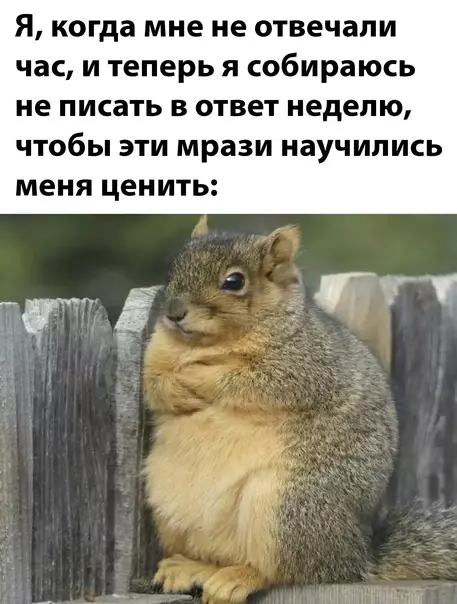 Смешная картинка №611120