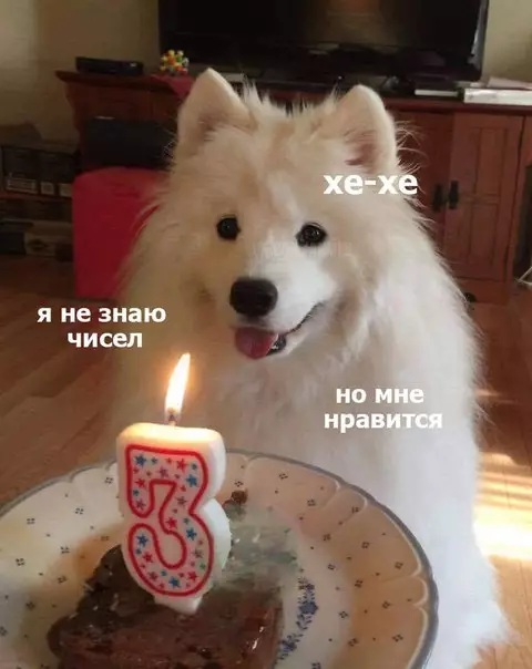 Смешная картинка №213321