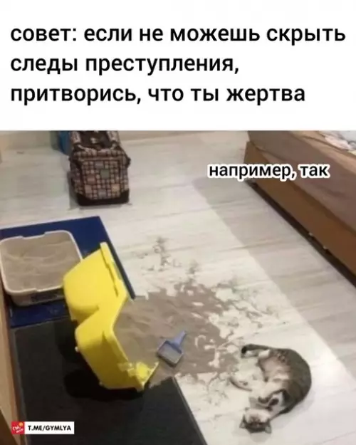 Смешная картинка №689735
