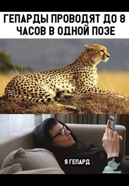 Смешная картинка №350721