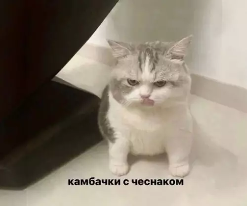 Смешная картинка №707183 Я в детстве: фу, как это взрослые вообще едят, вот вырасту и буду есть то, что захочу

Я когда вырос: