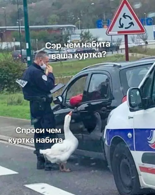 Смешная картинка №675943