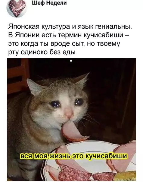 Смешная картинка №542750 Пополняем словарный запас