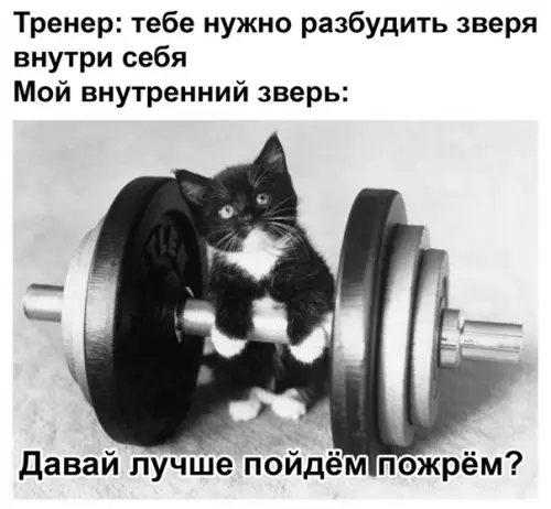 Смешная картинка №484421 Коротко о моем внутреннем звере