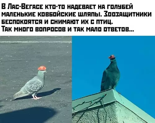 Смешная картинка №419677