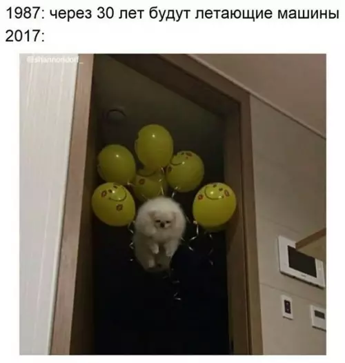 Смешная картинка №286361