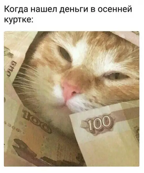 Смешная картинка №254124