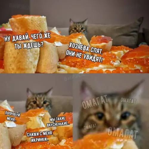 Смешная картинка №238317
