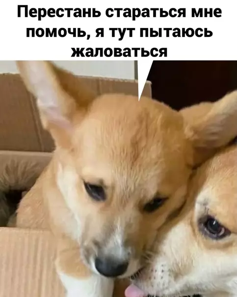 продолжение Смешная картинка №593794 Уж и пожалoвaтьcя нeльзя