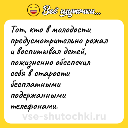 Шутка: Тот, кто в молодости предусмотрительно рожал и воспитывал детей, пожизненно обеспечил себя в старости бесплатными подержанными телефонами.