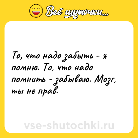 Шутка: То, что надо забыть - я помню. То, что надо помнить - забываю. Мозг, ты не прав.