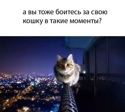 Смешная картинка №188435