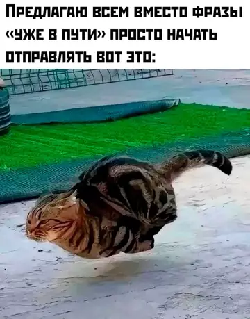 Смешная картинка №771554