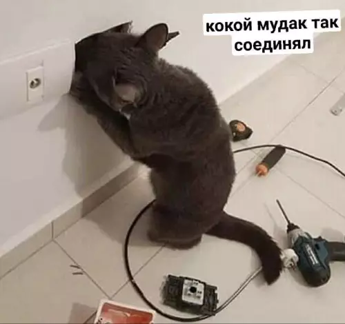 Смешная картинка №687462