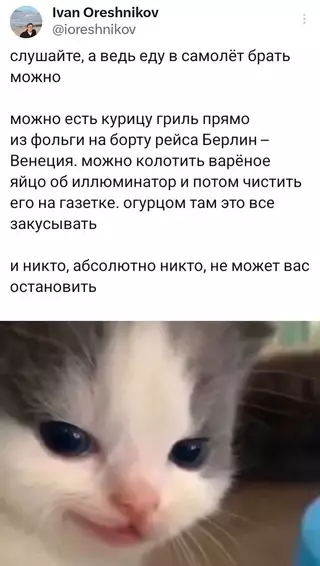 Смешная картинка №716764