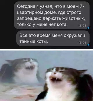 Смешная картинка №667524