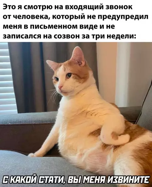 Смешная картинка №682233