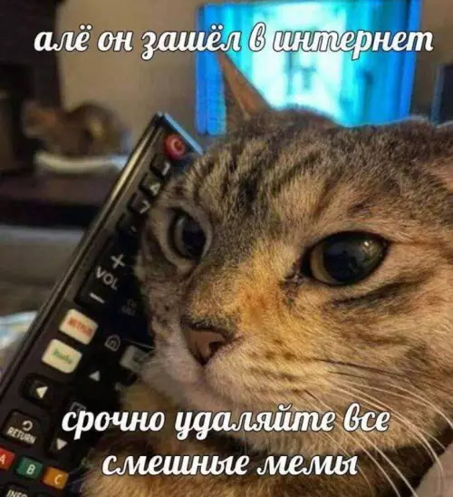 Смешная картинка №720804