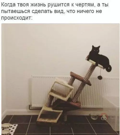 Смешная картинка №548913 Вот так выглядят люди, которые на вопрос «Как дела?» отвечают «Потихоньку» ?