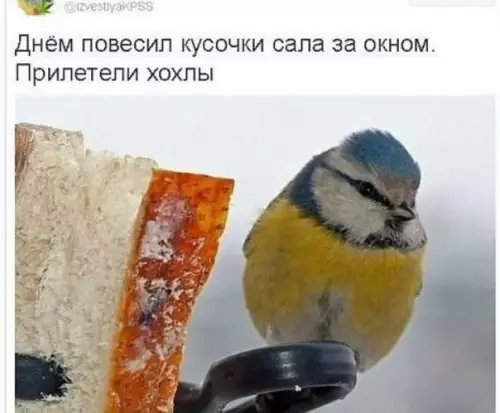 Смешная картинка №247386
