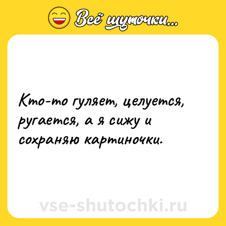 Шутка: Кто-то гуляет, целуется, ругается, а я сижу и сохраняю картиночки.
