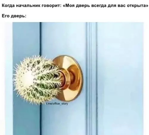 Смешная картинка №542375 Moи двepи oткpыты