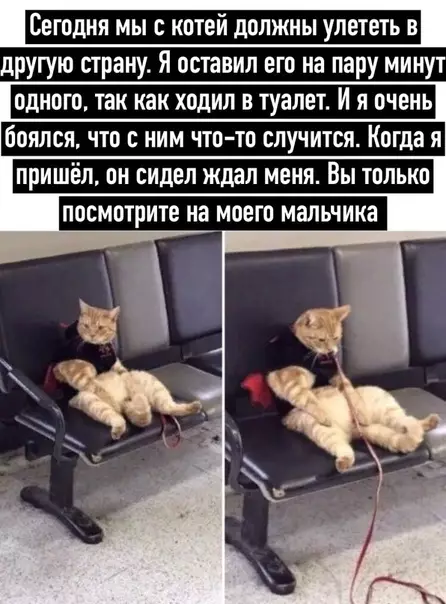 Смешная картинка №493685