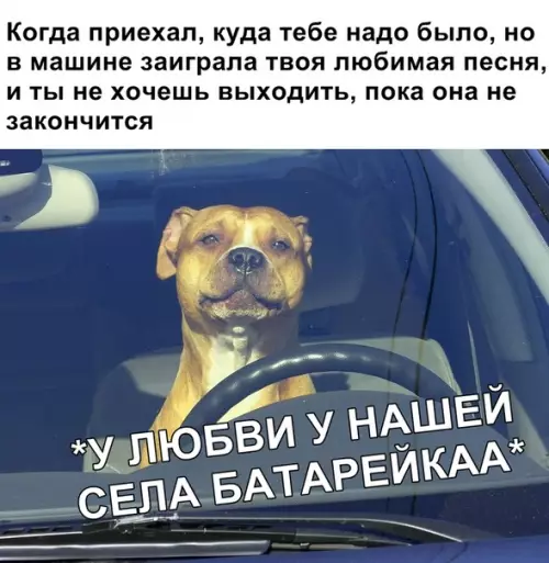 Смешная картинка №355143