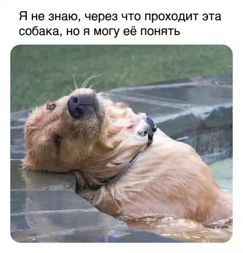 Смешная картинка №685896