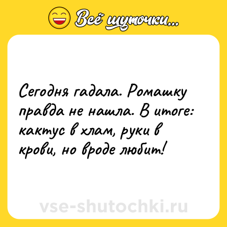 Шутка: Сегодня гадала. Ромашку правда не нашла. В итоге: кактус в хлам, руки в крови, но вроде любит!
