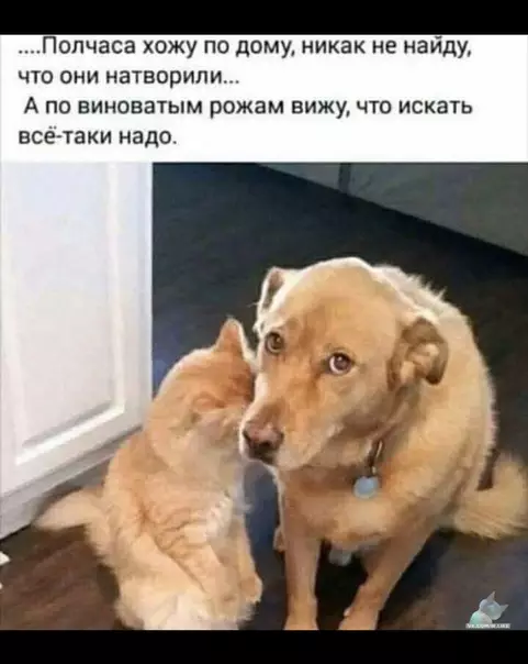 Смешная картинка №389903