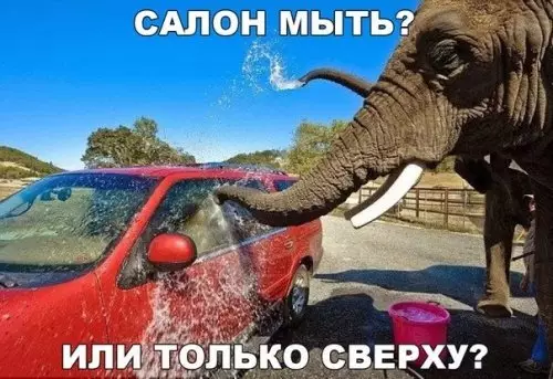 Смешная картинка №309372