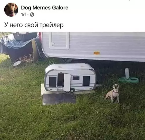 Смешная картинка №710584