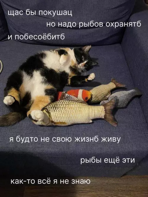 Смешная картинка №787763