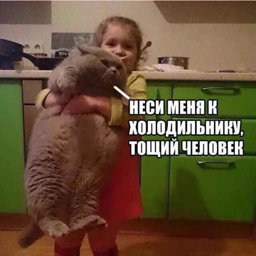 Смешная картинка №283373