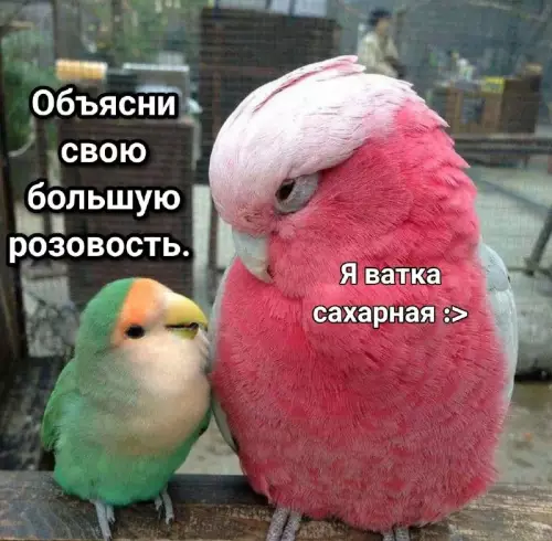 Смешная картинка №739798