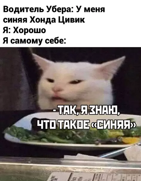 Смешная картинка №475353