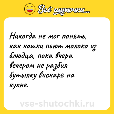 Шутка: Никогда не мог понять, как кошки пьют молоко из блюдца, пока вчера вечером не разбил бутылку вискаря на кухне.