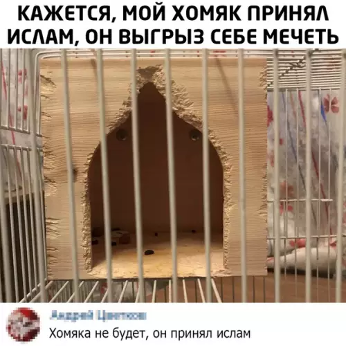 Смешная картинка №509333